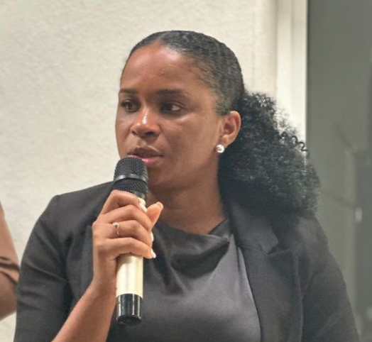 Angola estará presente, pela primeira vez, na Horasis Global Maeeting